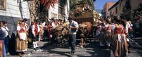 Romeria-en-La-Orotava-Tenerife-1737-c-PromoturTurismoCanariasSA.jpg_369272544.jpg